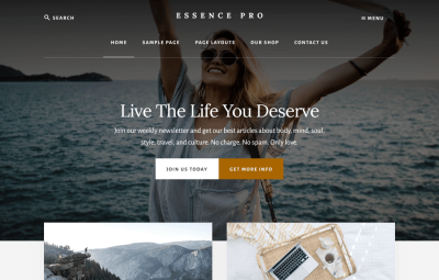Essence Pro Theme 1.5.4
