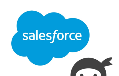Ninja Forms SalesForce CRM 3.3.4