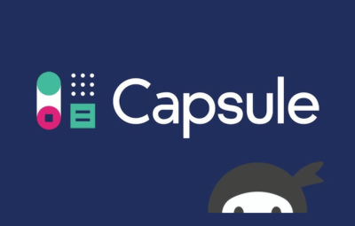 Ninja Forms Capsule CRM 3.4.6