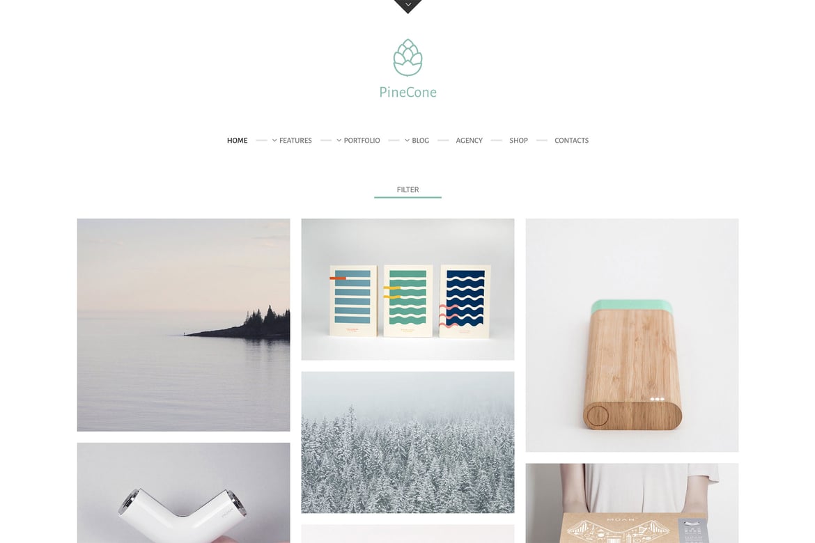 PineCone – Creative Portfolio and Blog for Agency 5.4.4