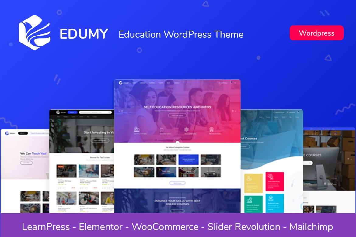 Edumy – LMS Online Education WordPress Theme 1.2.38