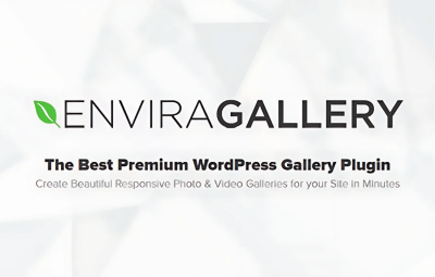 Envira Gallery 1.11.1