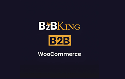 B2BKing 5.3.40