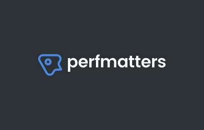 Perfmatters 2.4.4 - Lightweight Performance Plugin