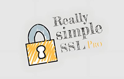 Really Simple Security Pro 9.3.6