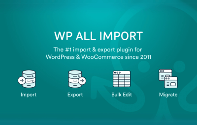 ACF Import Add-On Pro 4.0.0