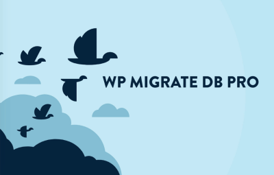 WP Migrate Pro 2.7.4
