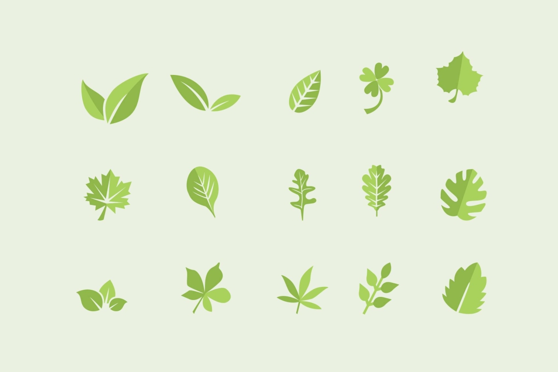15 Leaf Icons