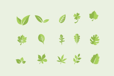 15 Leaf Icons