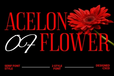 Acelon – Condensed Serif