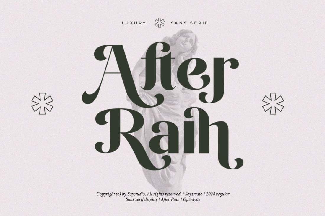 After Rain - Modern Logo Elegant Font