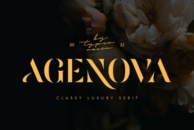 Agenova - Modern Luxury Bold Stencil Serif
