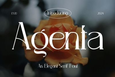 Agenta - Elegant Serif Font
