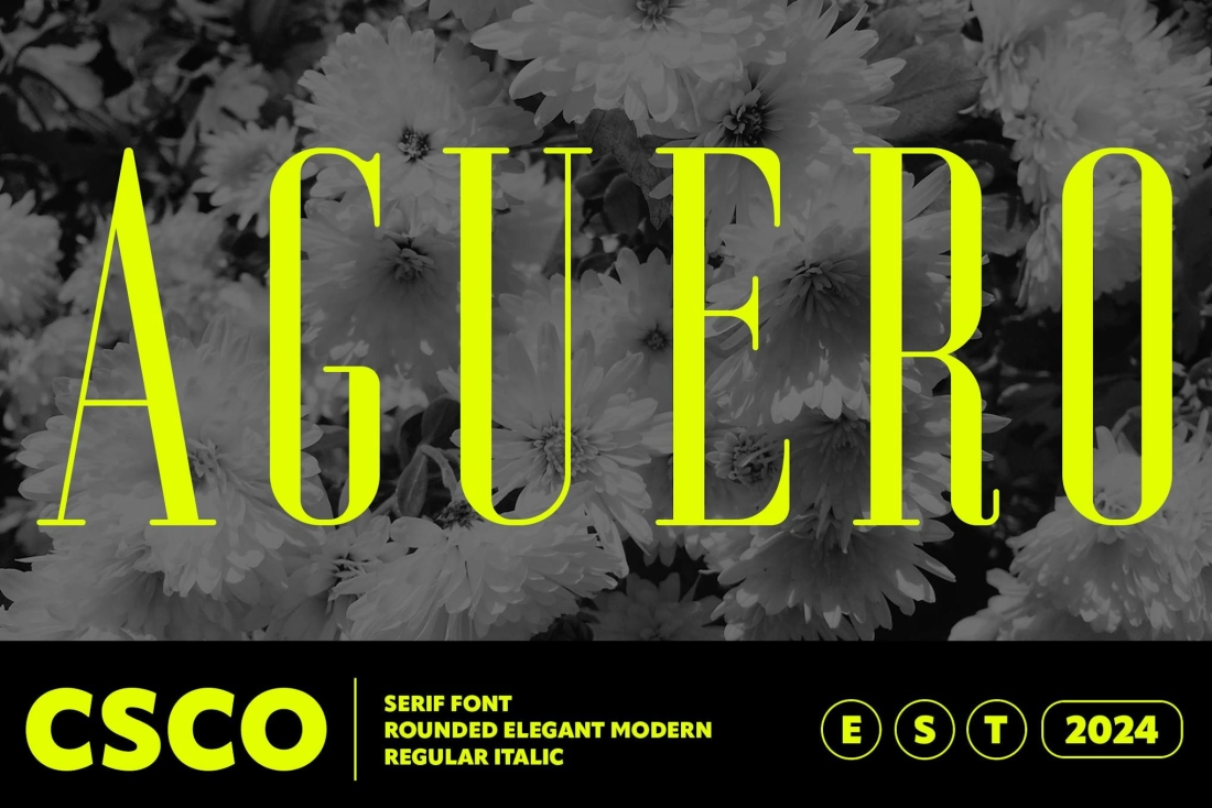 Aguero Serif Rounded