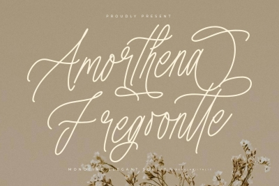 Amorthena Fregoontte Monoline Elegant Script Font