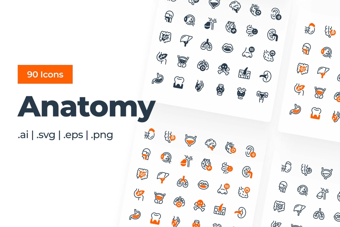 Anatomy - Icon Pack