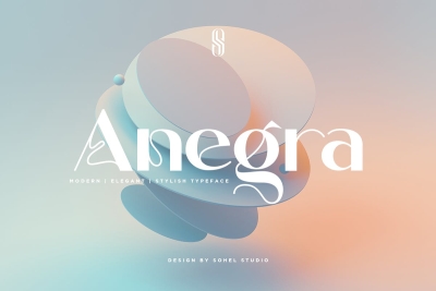 Anegra - Minimal Sans, Maximal Impact