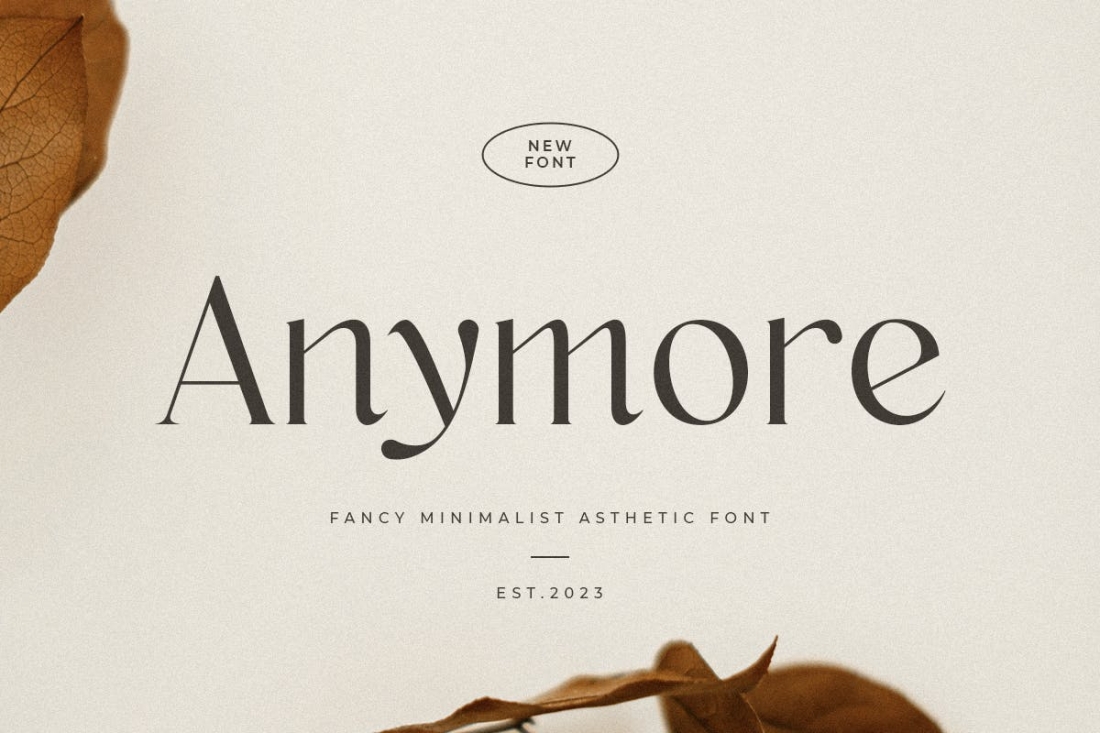 Anymore - Fancy Minimalist Aesthetic Font