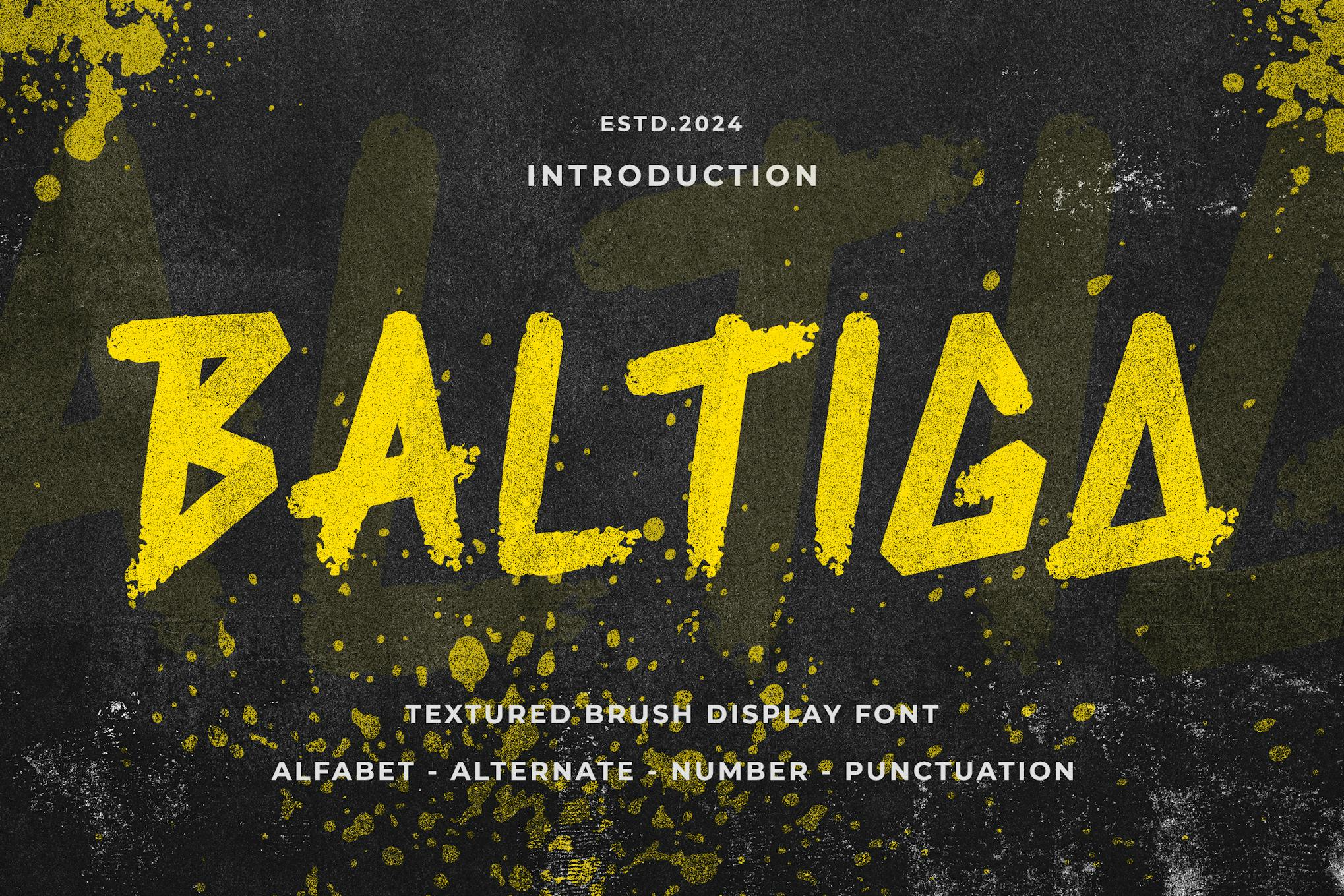 BALTIGA – Textured Brush Font