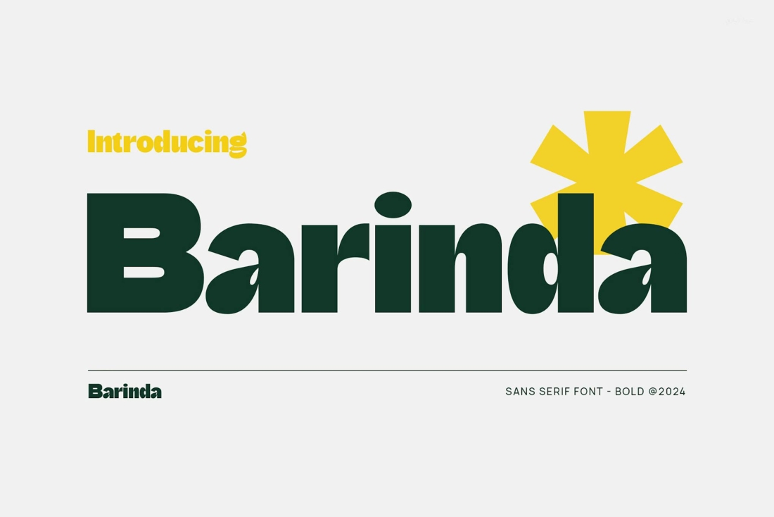 Barinda - Modern Display Sans Serif