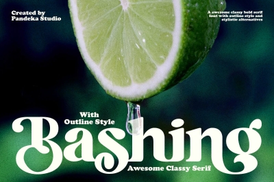 Bashing - Retro Modern Decorative
