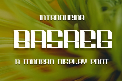 Basreg