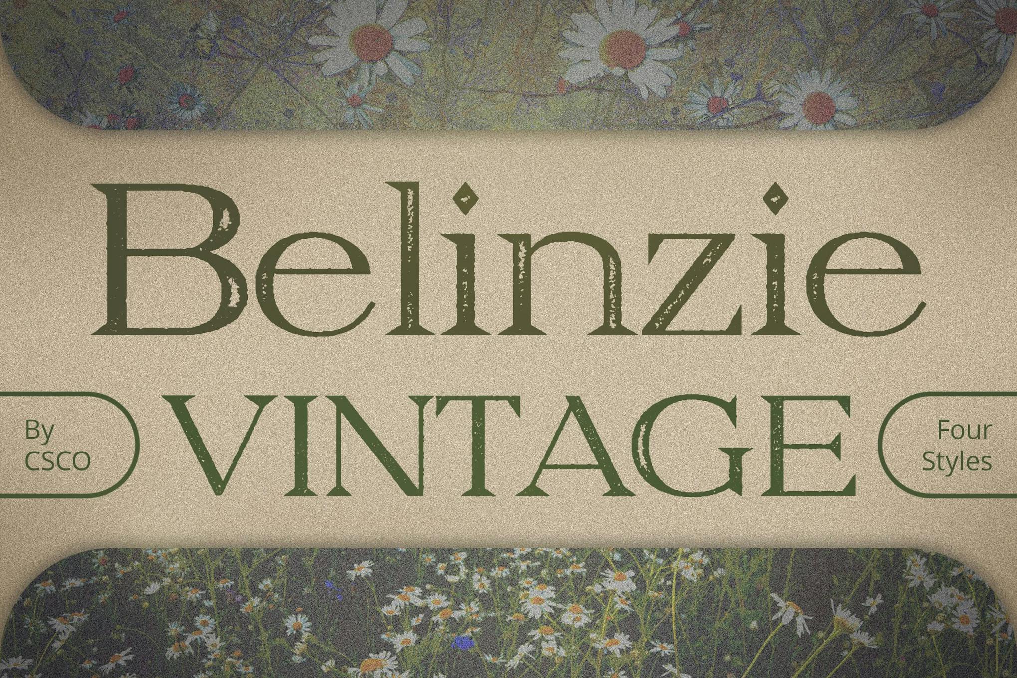 Belinzie Vintage