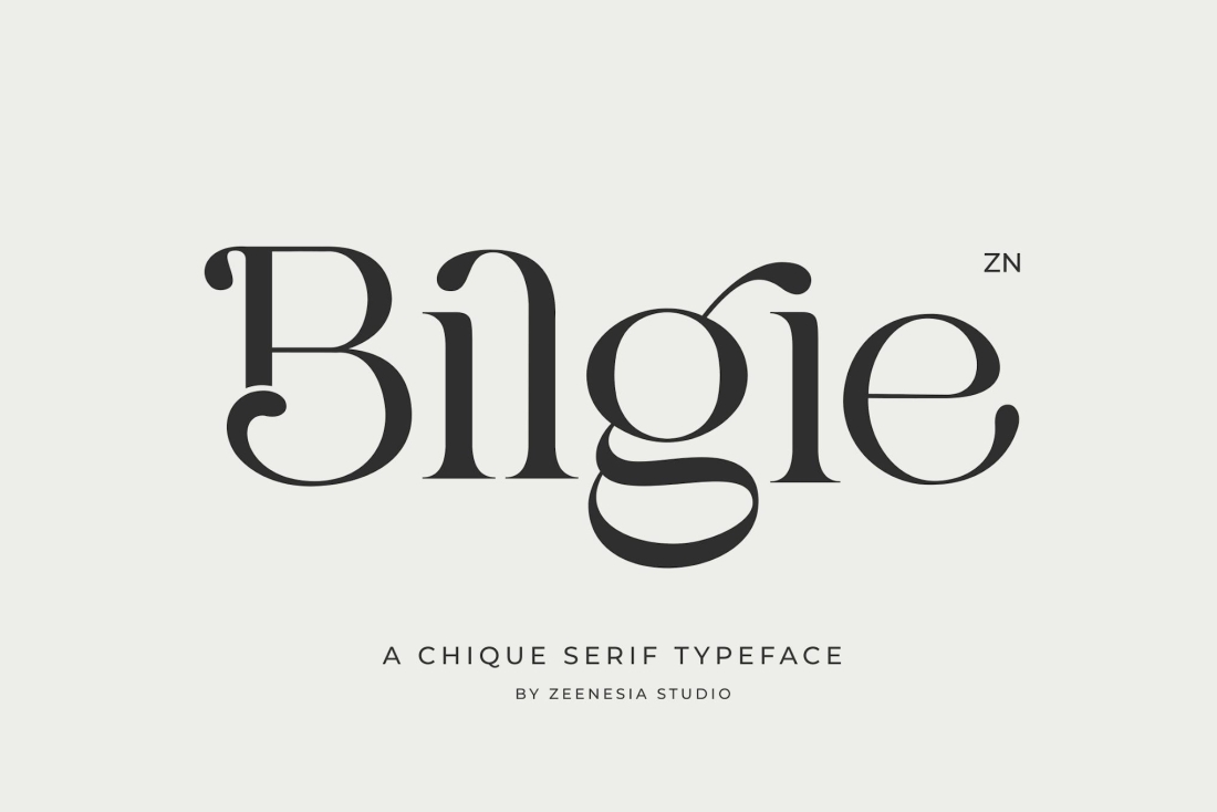Bilgie