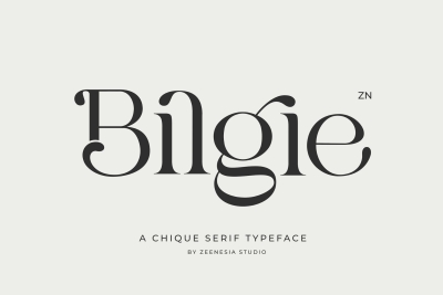 Bilgie