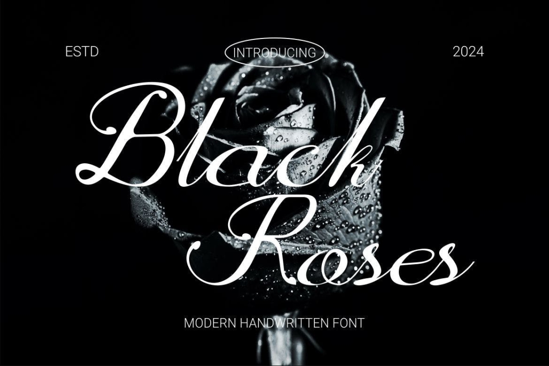 BlackRoses - A Modern Script Font