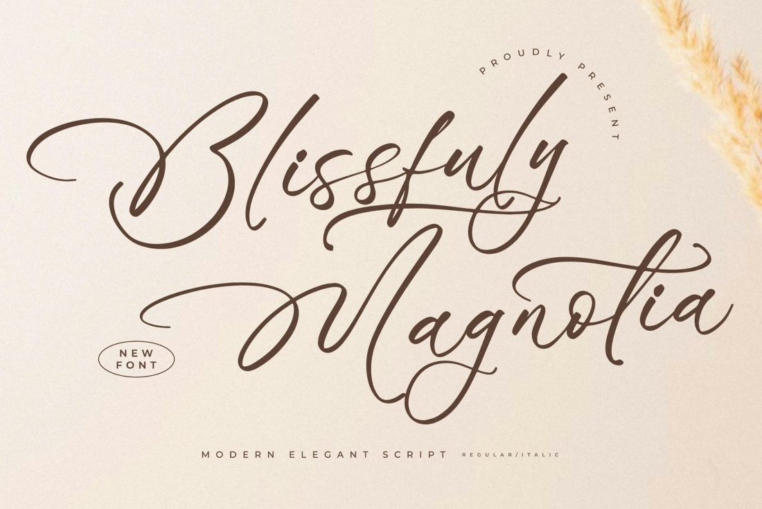 Blissfuly Magnotia Modern Elegant Serif Font