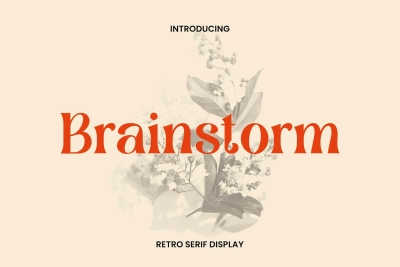 Brainstorm Retro Serif Display Font