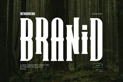 Branid Elegant Serif Font Typeface