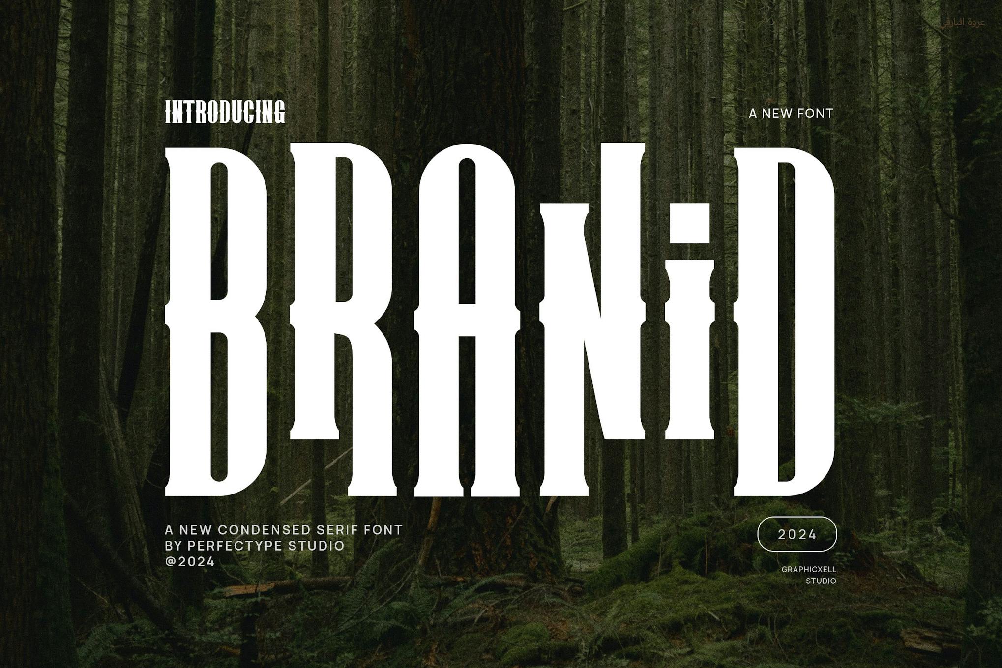 Branid Elegant Serif Font Typeface