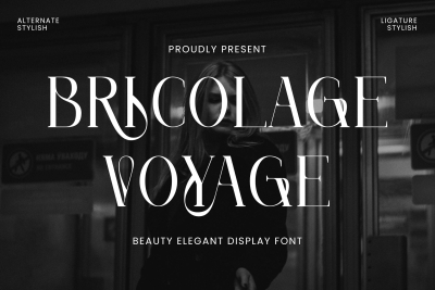 Bricolage Voyage - Elegant Display Font