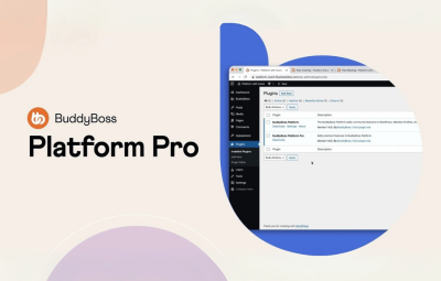 BuddyBoss Platform Pro 2.7.10