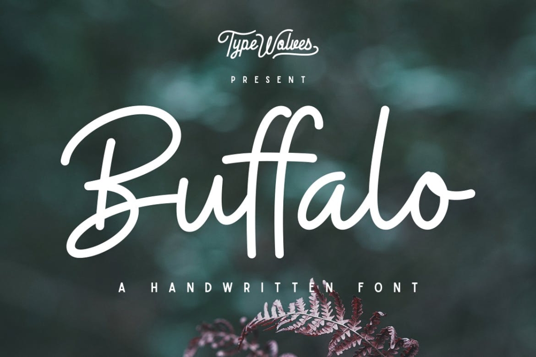 Buffalo