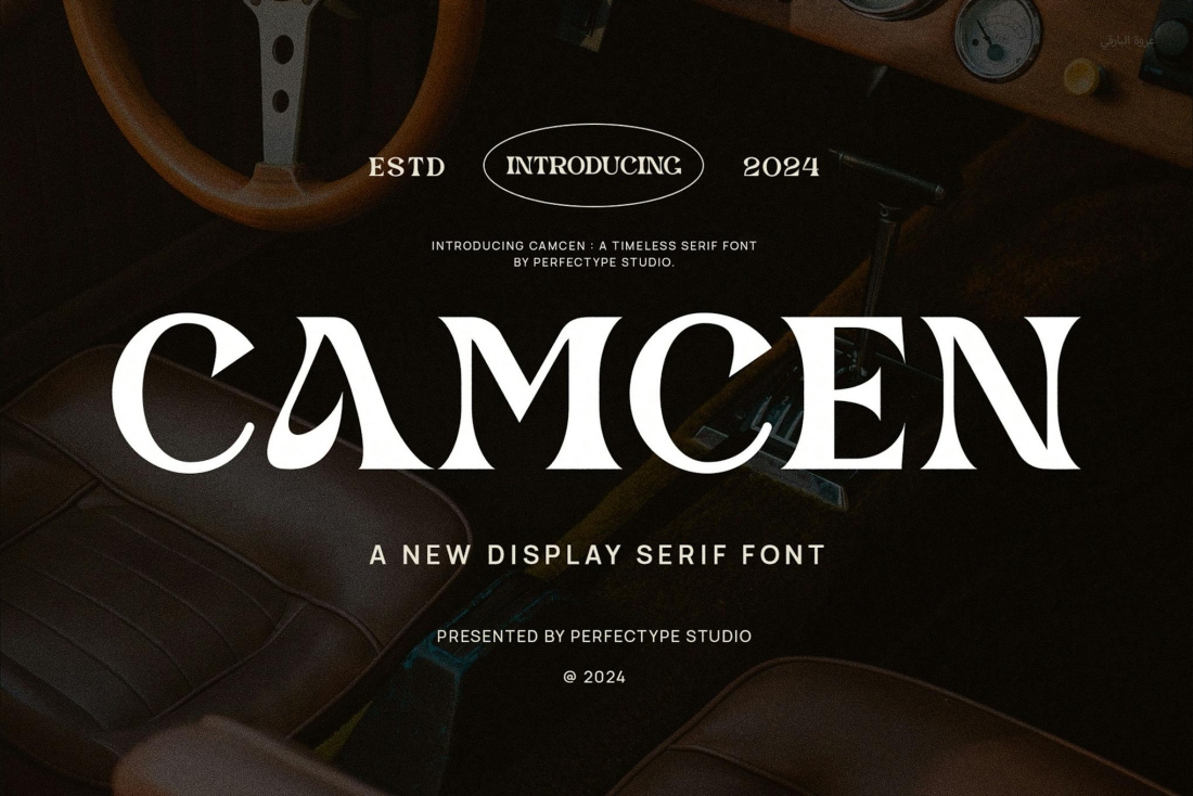 Camcen Elegant Ligature Serif Font Typeface