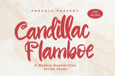 Candillac Flamboe - Handwritten Script fonts