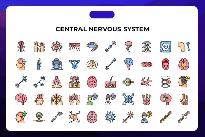 Central Nervous System Icons