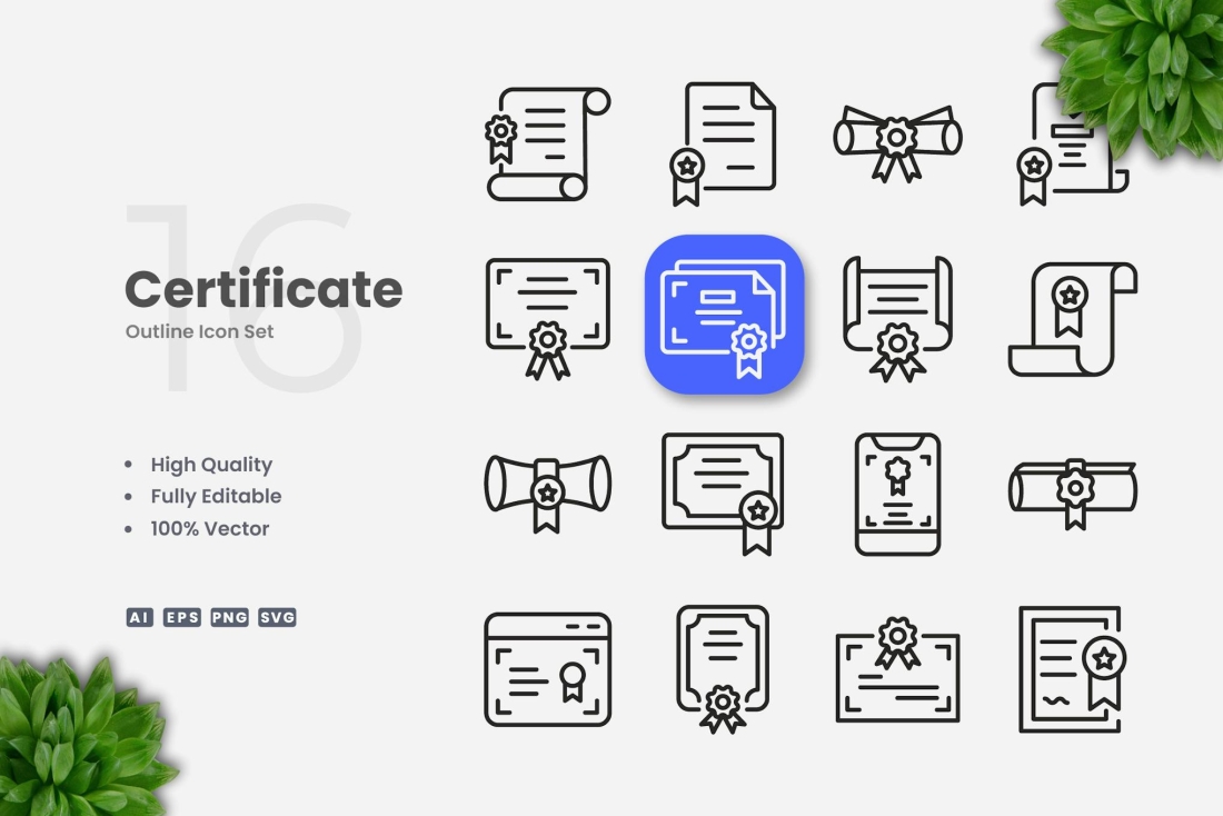Certificate Outline Icons