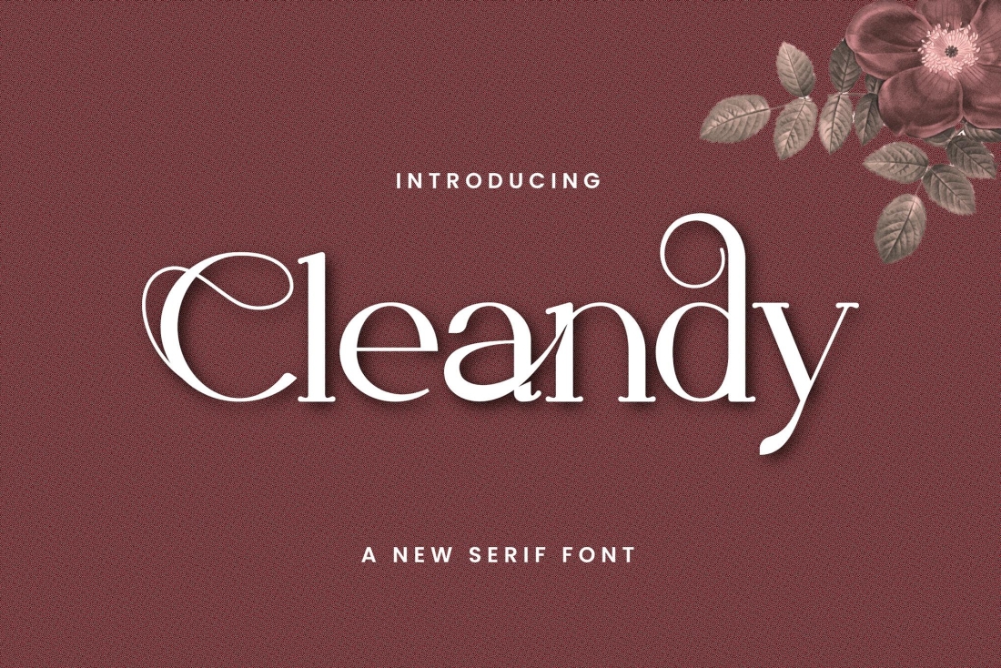 Cleandy