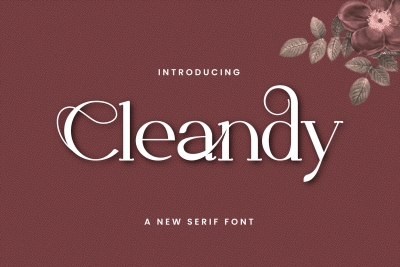 Cleandy