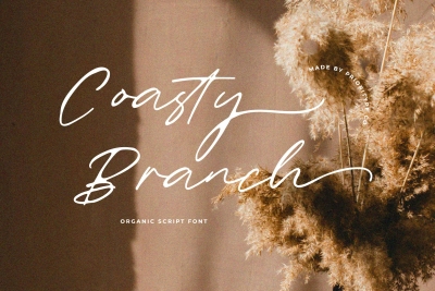 Coasty Branch - Organic Script Font