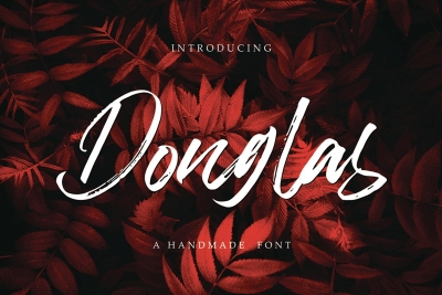 Donglas Brush