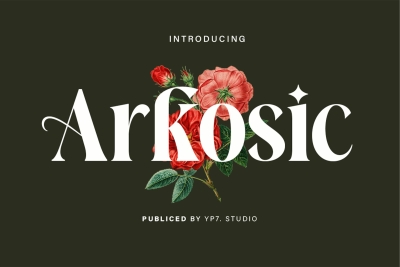 Elegant Luxury Serif Font