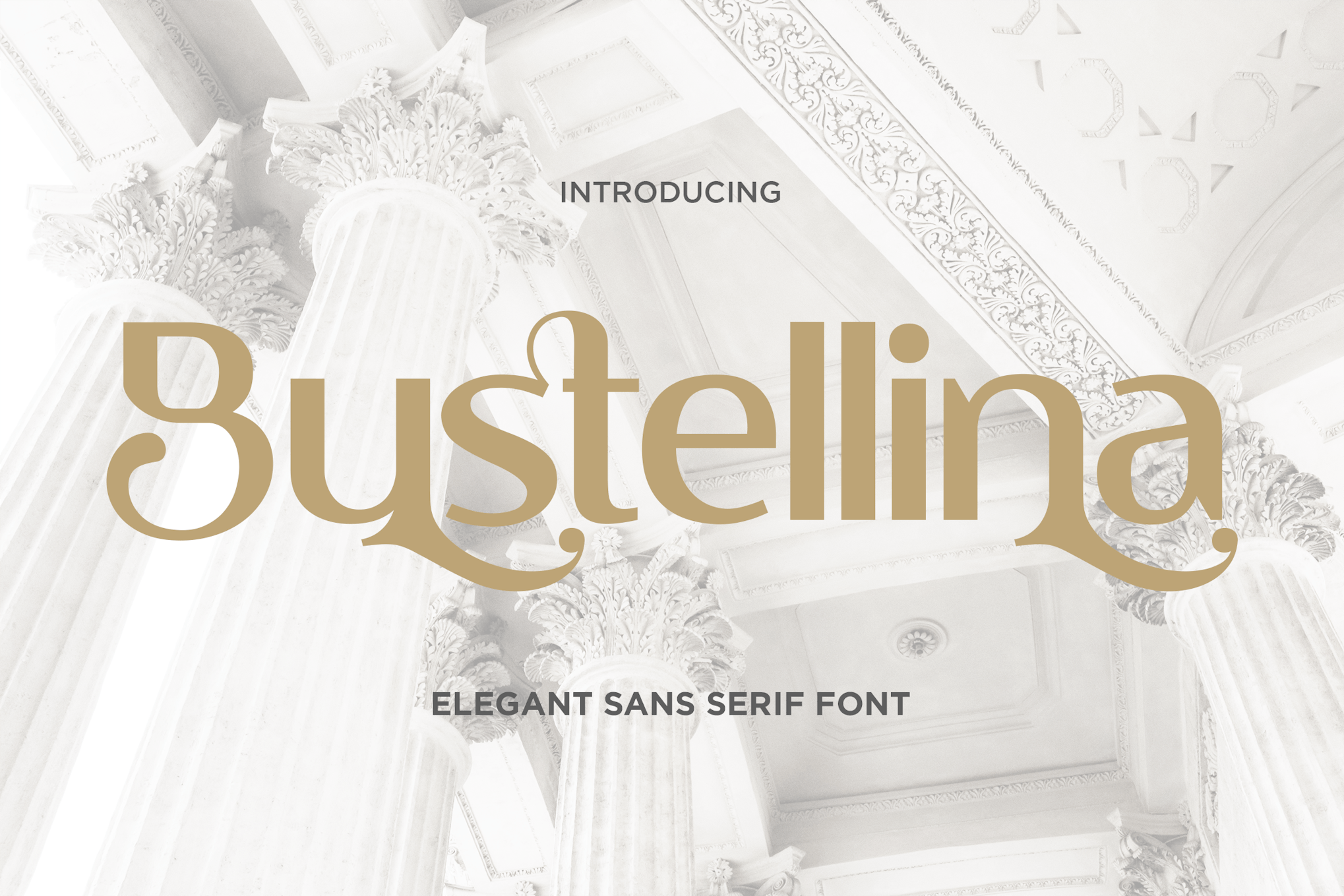 Elegant Sans-Serif