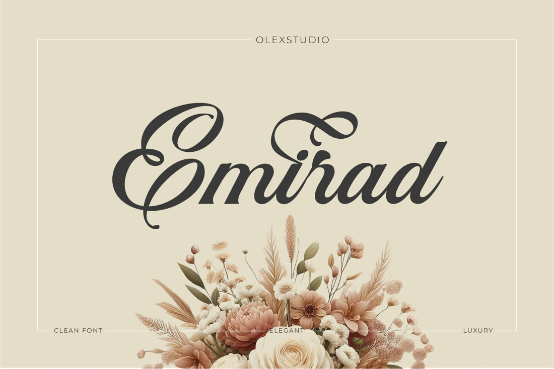 EMIRAD Olstd