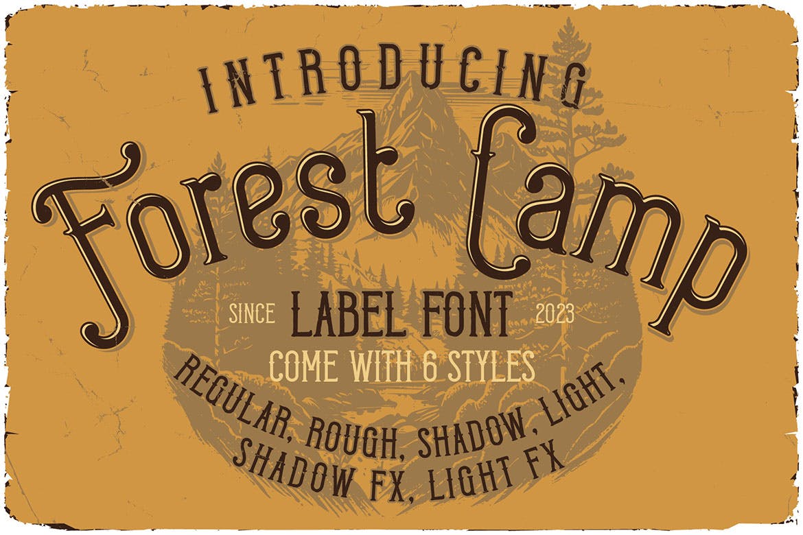 Forest Camp Display Font