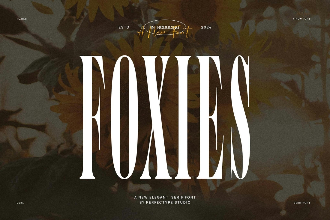 Foxies Elegant Serif Font Typeface